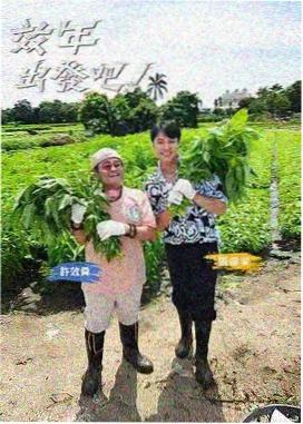 城市片场综艺海报